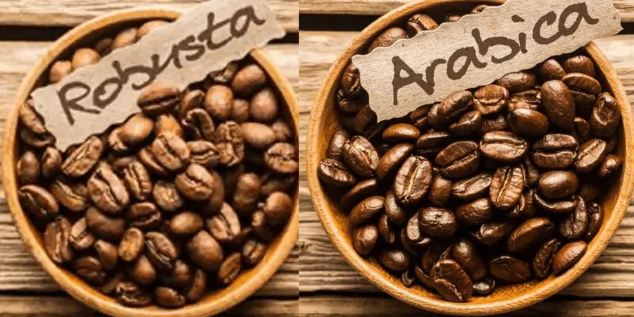 Arabica vagy Robusta? Így válassz a kávéfajták közül
